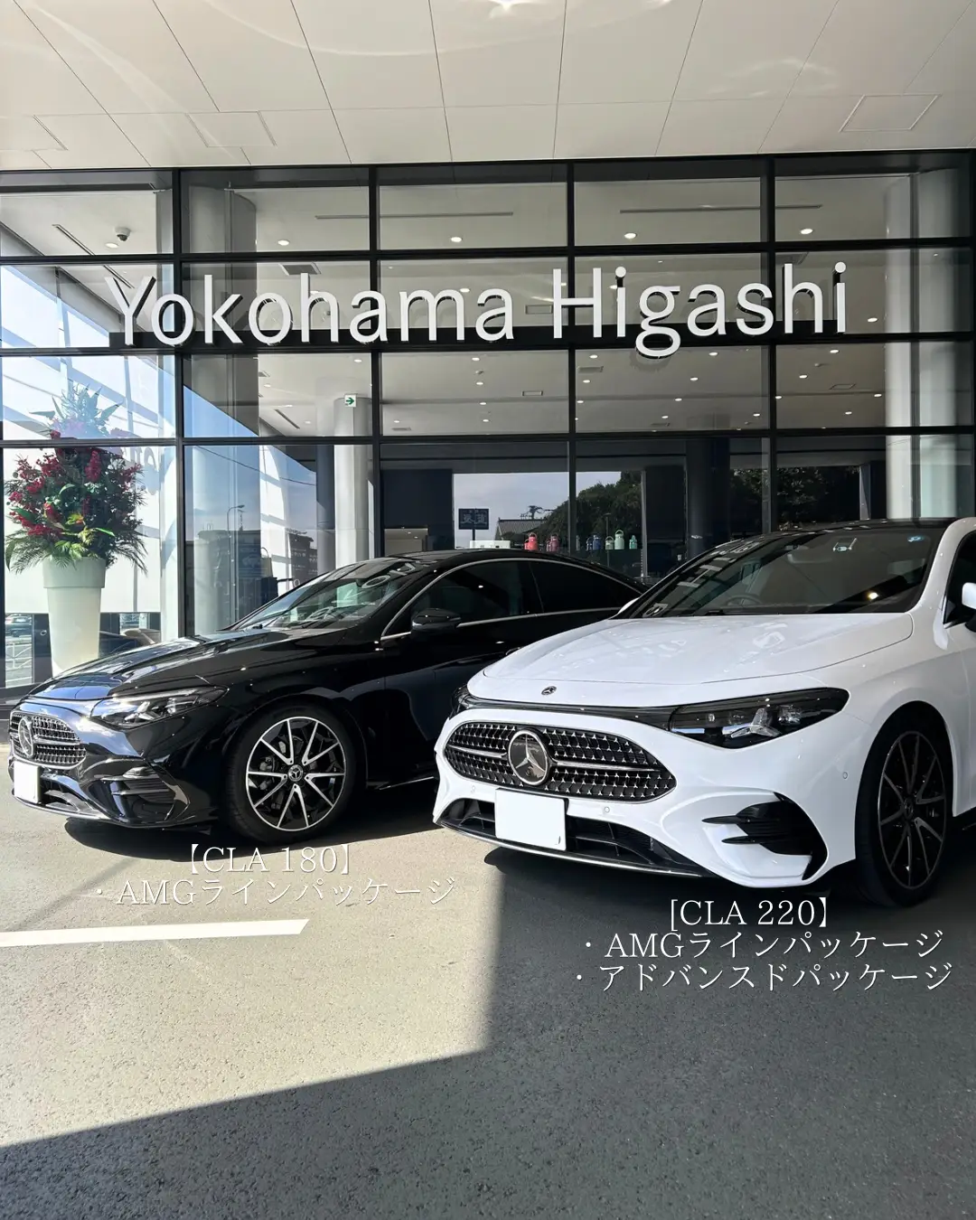 【横浜東】8月のご案内