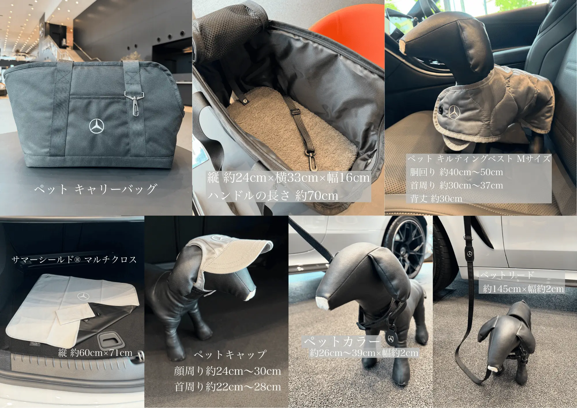 【あざみ野】New ! Pet Collectionのご案内