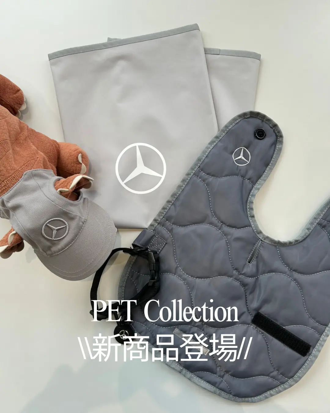 【藤沢】新作ペットコレクションのご紹介